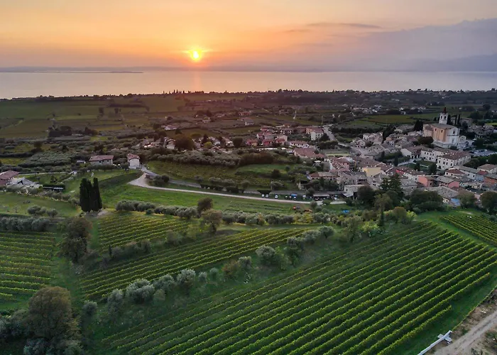 Calicantus Bardolino