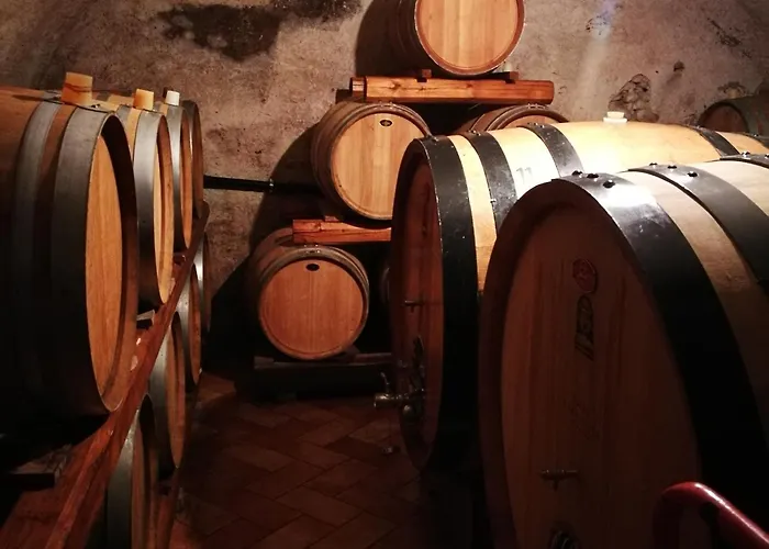 Calicantus * Bardolino