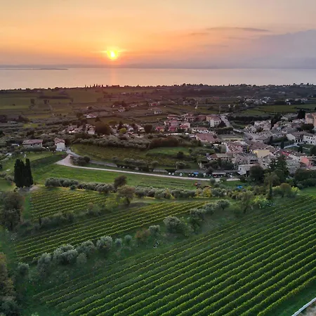 Calicantus Bardolino